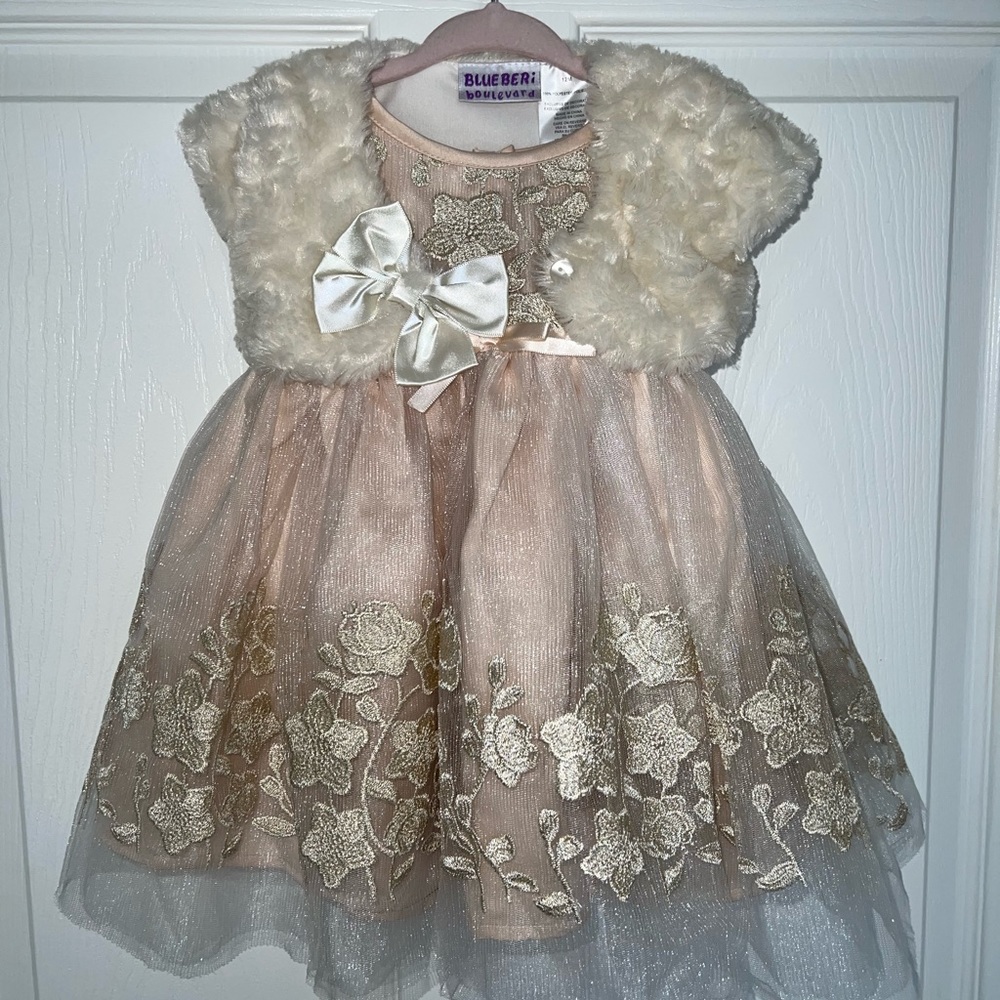 Toddler Girl 12 Month Dress
